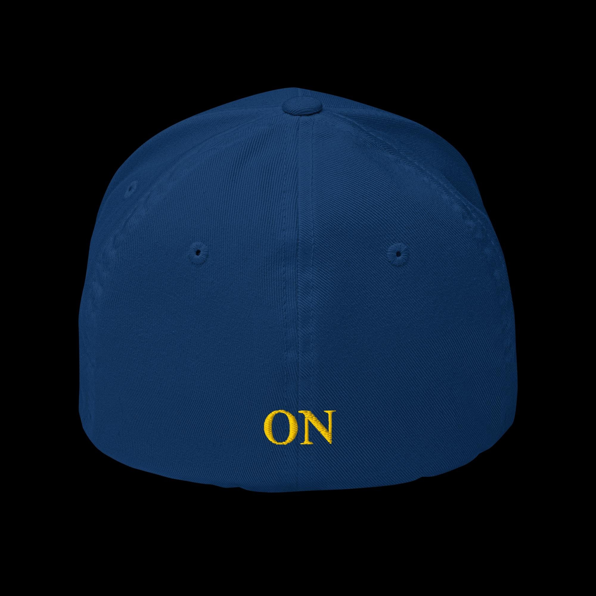 closed-back-structured-cap-royal-blue-back-67d9ad3b7da6e.jpg