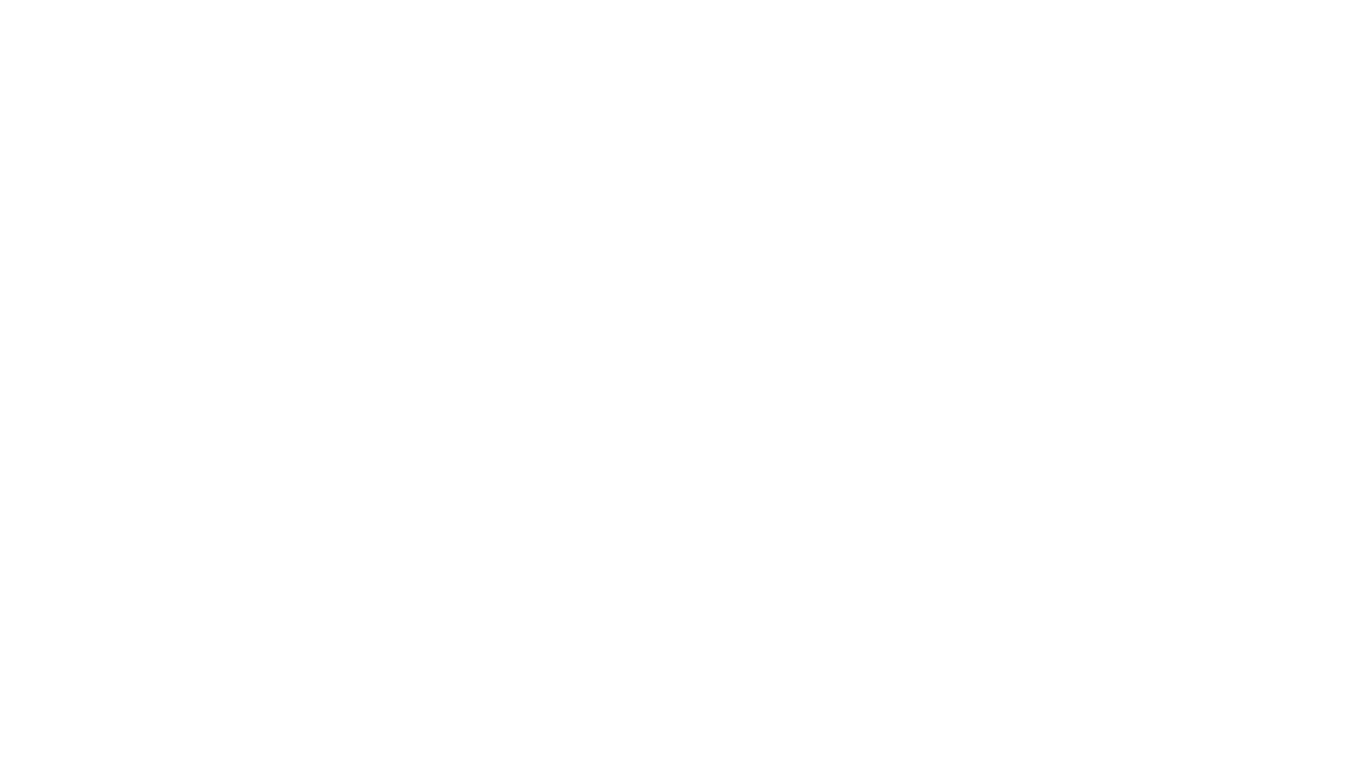 Logo for 'Kind of Wild Pet Portraits' with stylized text