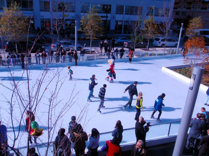 IceRink-WACanalPk5_800.jpg