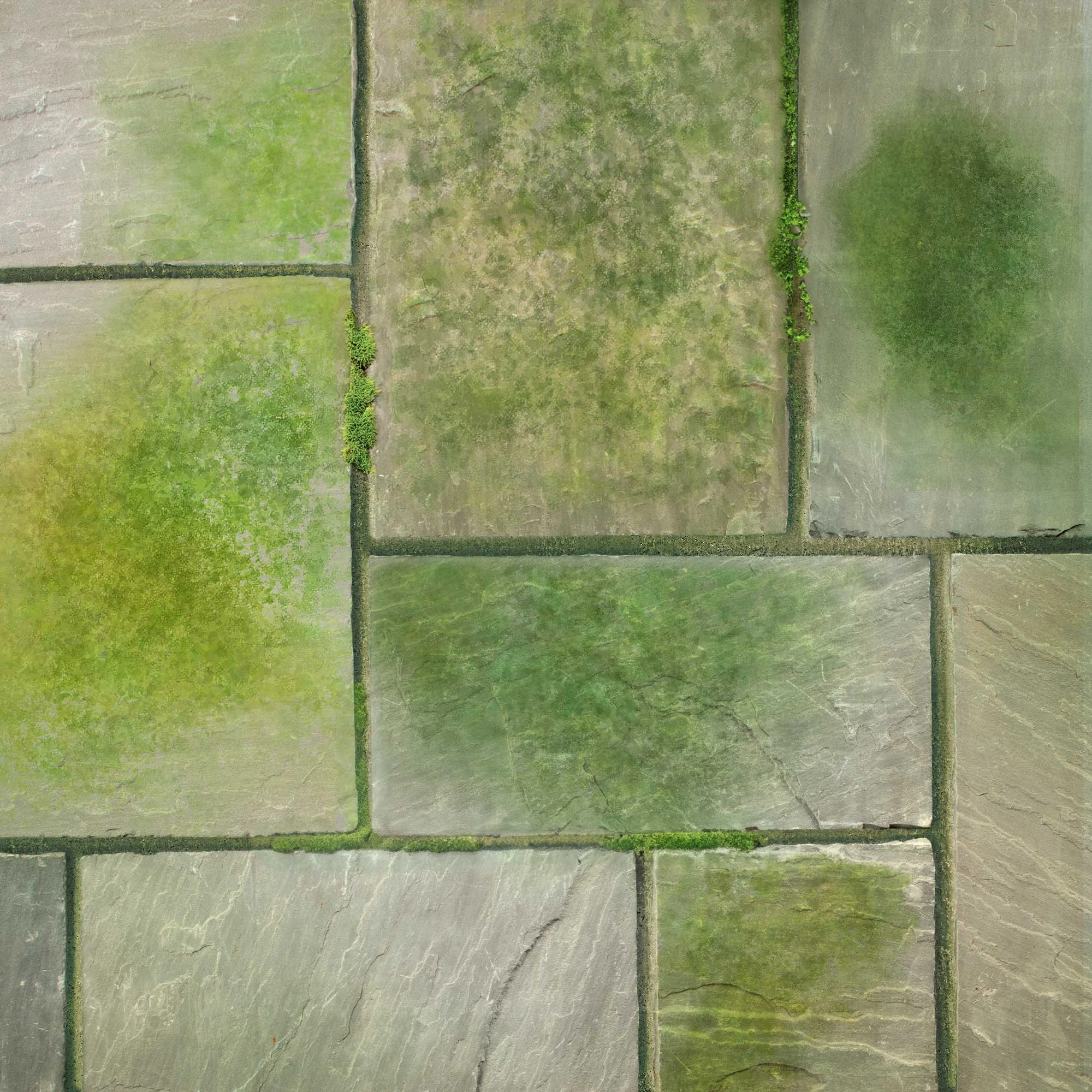 Spray & Leave Patio Cleaner Moss & Algae Remover Patio Bright