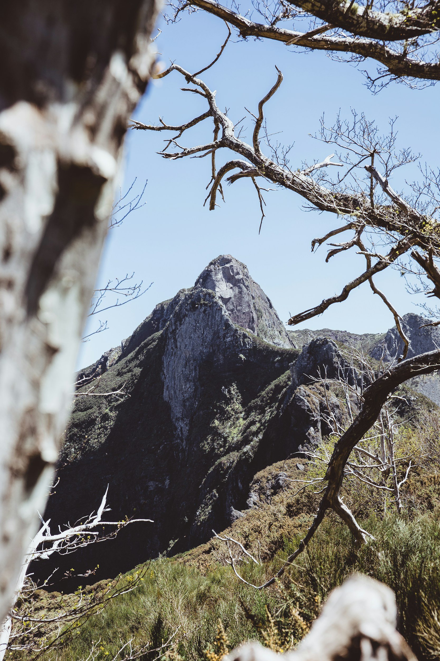 How To Tackle The Ever-Growing Content Mountain