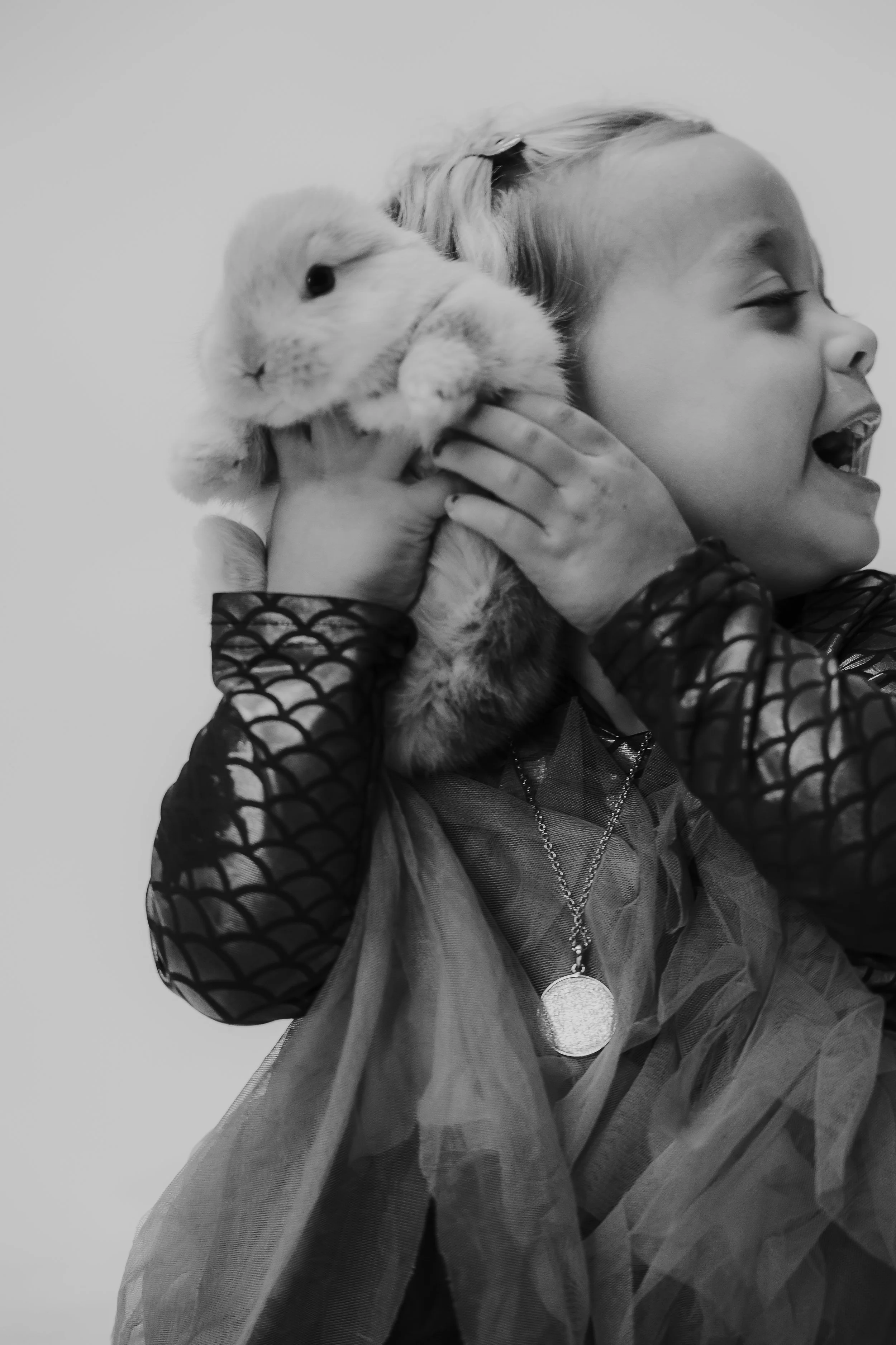 Pet Portraits: In or Out?