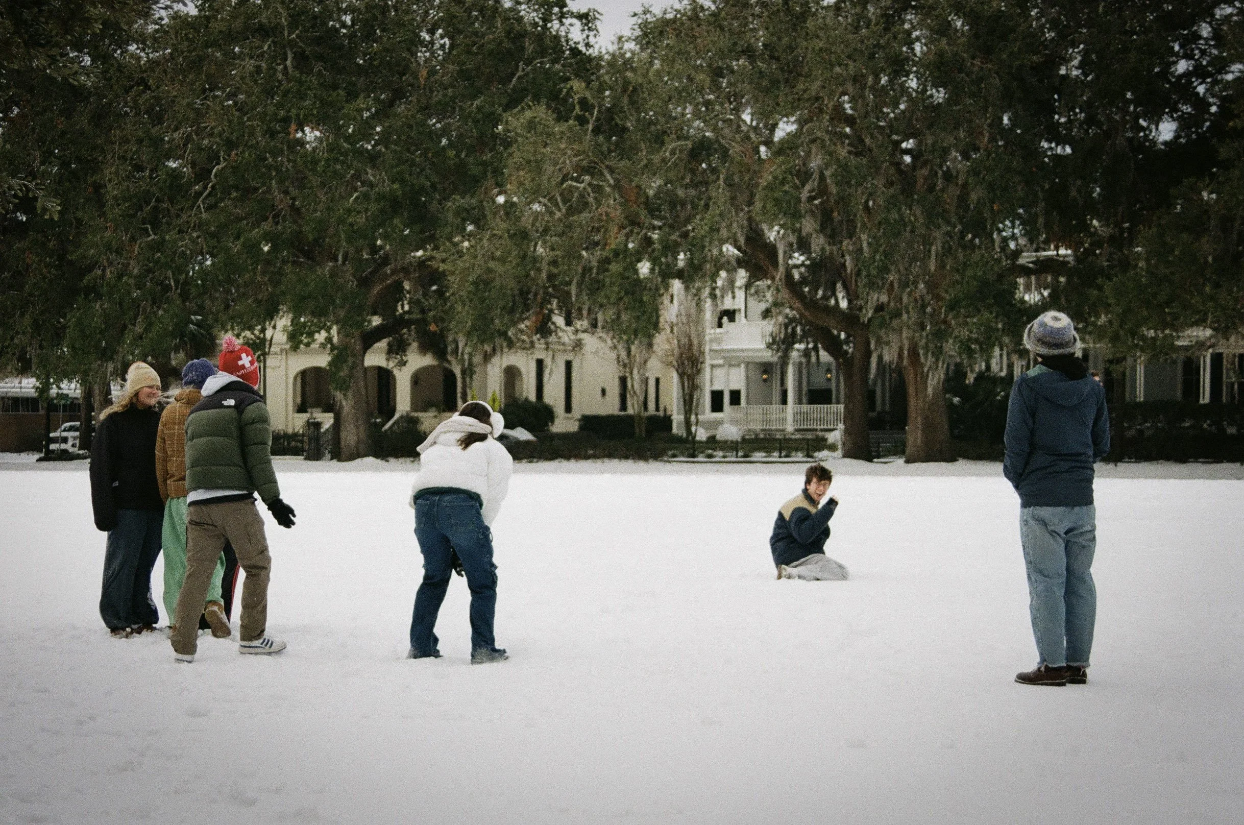 Spilling the Tea with Tigerlily Harrington