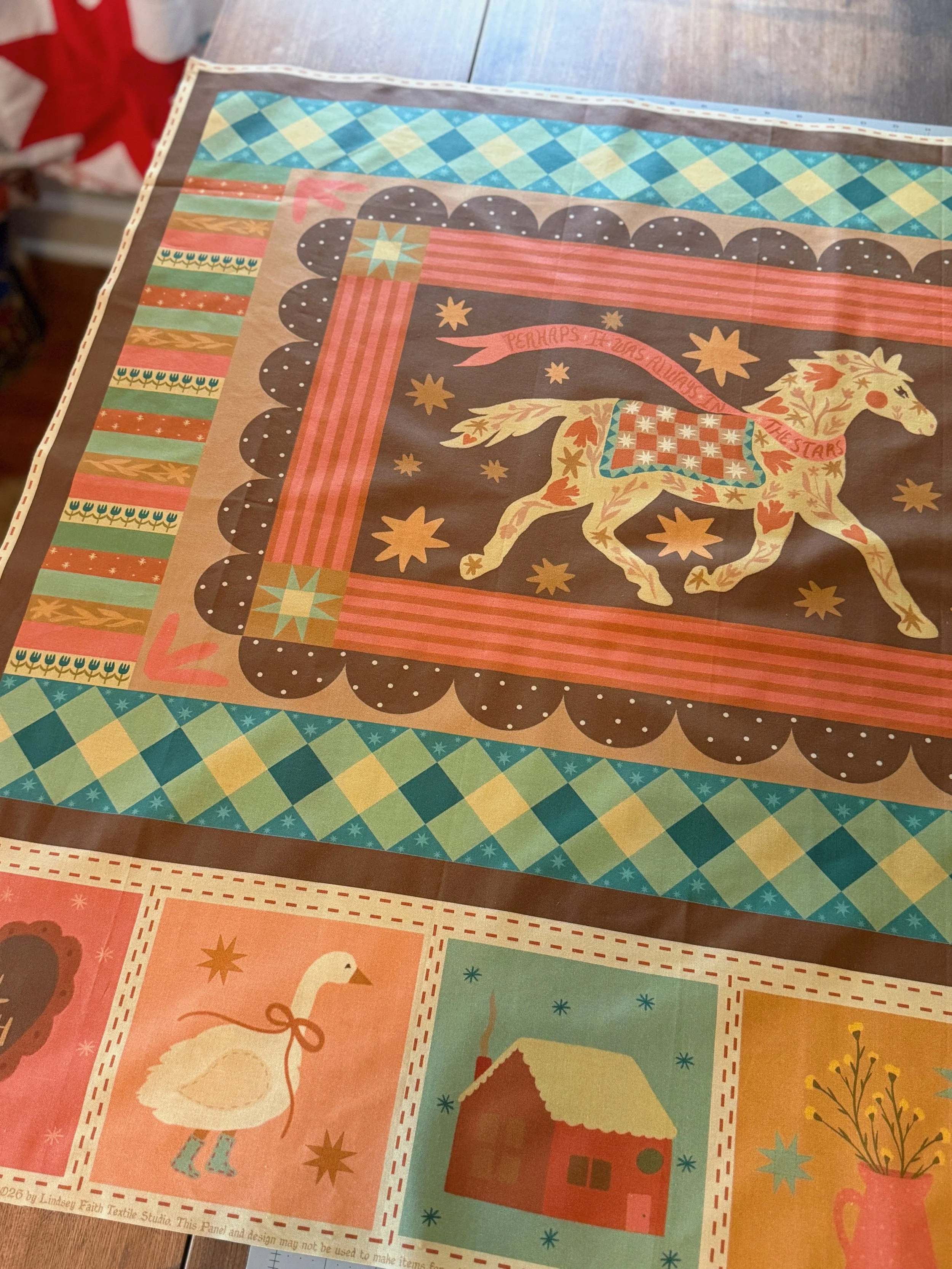 Fabric Panel: In the Stars