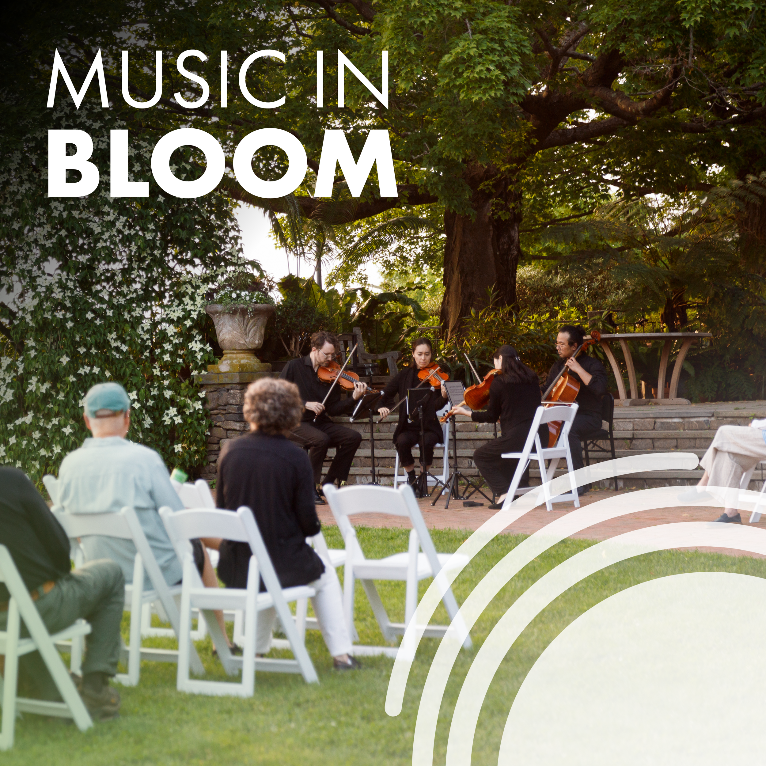 Music in Bloom