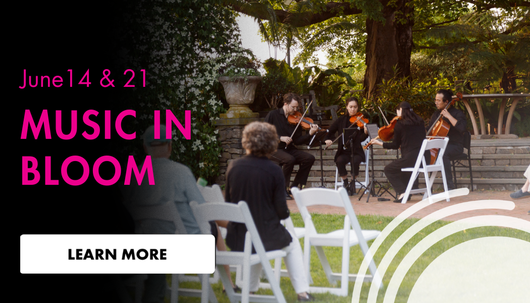 Music in Bloom Featured.png
