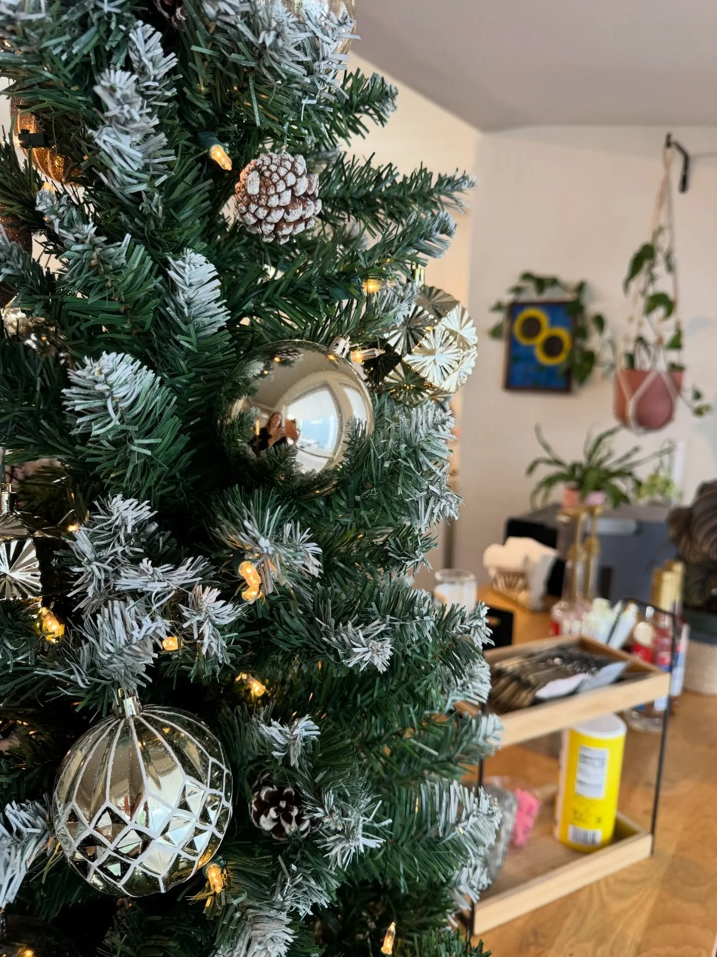 Christmas is just 7 days away and we only have a handful of appointments available. Be sure to give us a call if you don&rsquo;t see any online opportunities. 🎄

#tampasalon #tampahairstylist