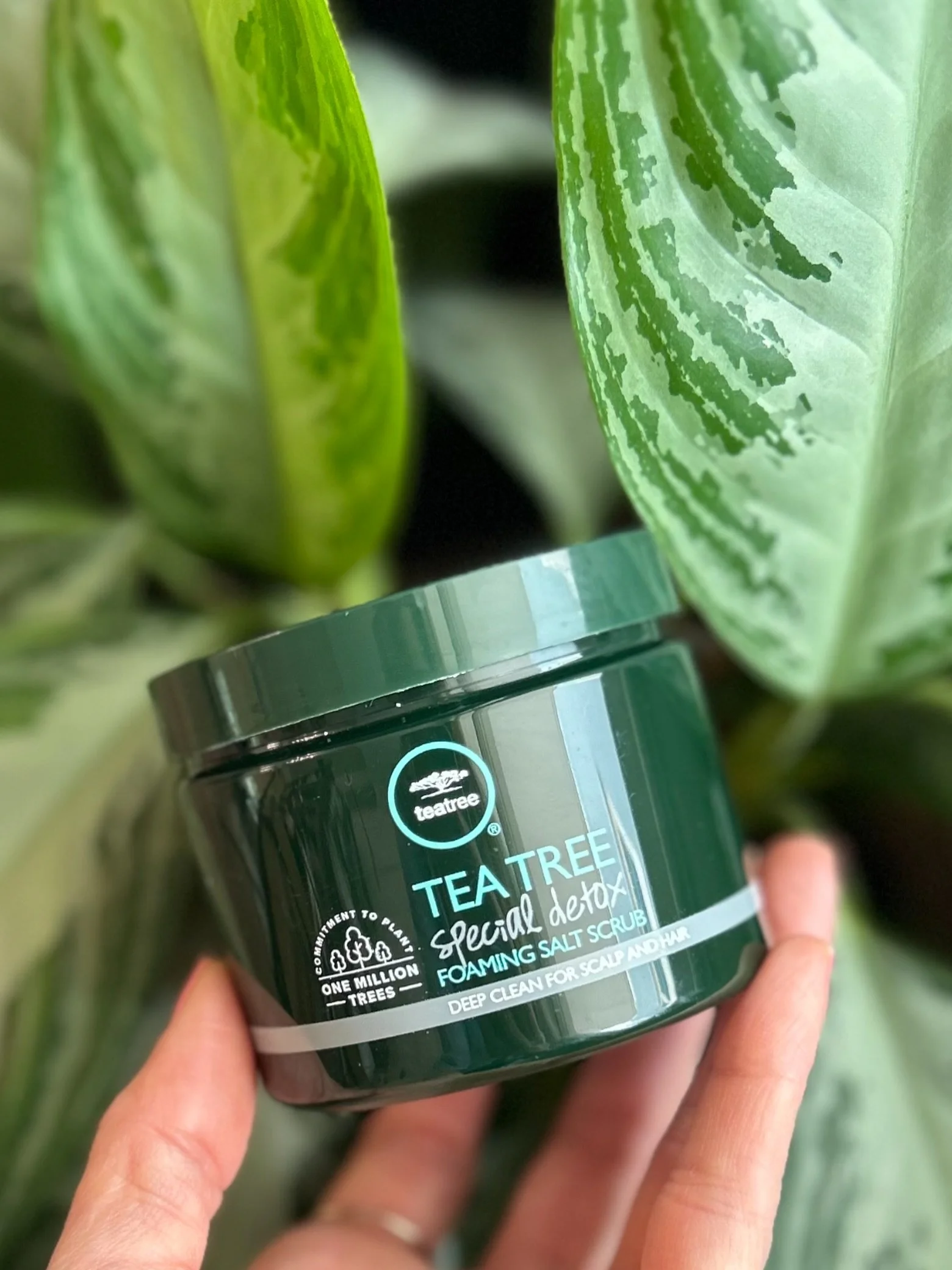 Tea Tree Foaming Scalp Detox gently lifts away buildup, excess oil, and impurities for that fresh, clean feeling your scalp has been craving.🍃