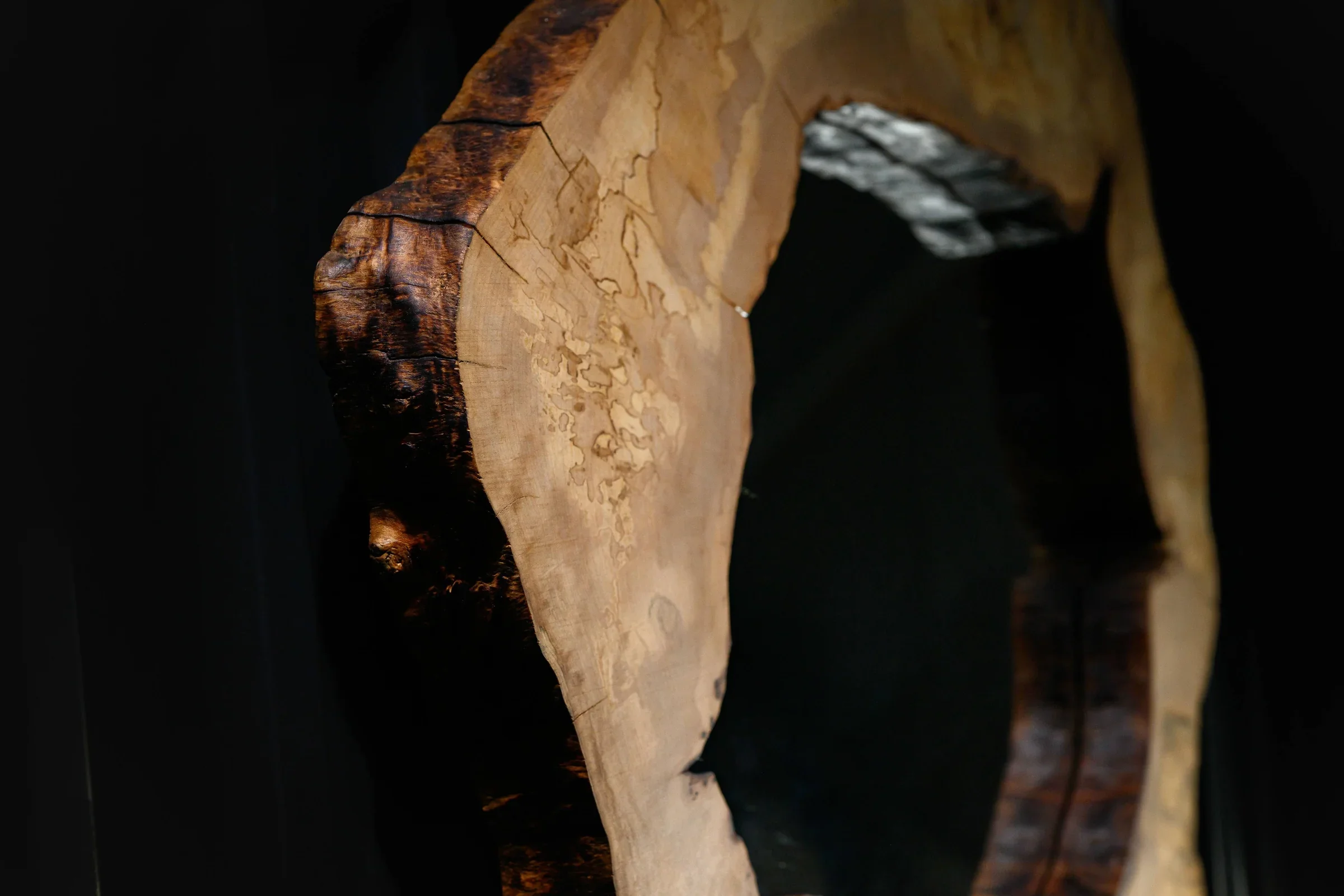 Foto-Produs_16-Iunie-2025--1345_2400x1600_crop_center.WEBP