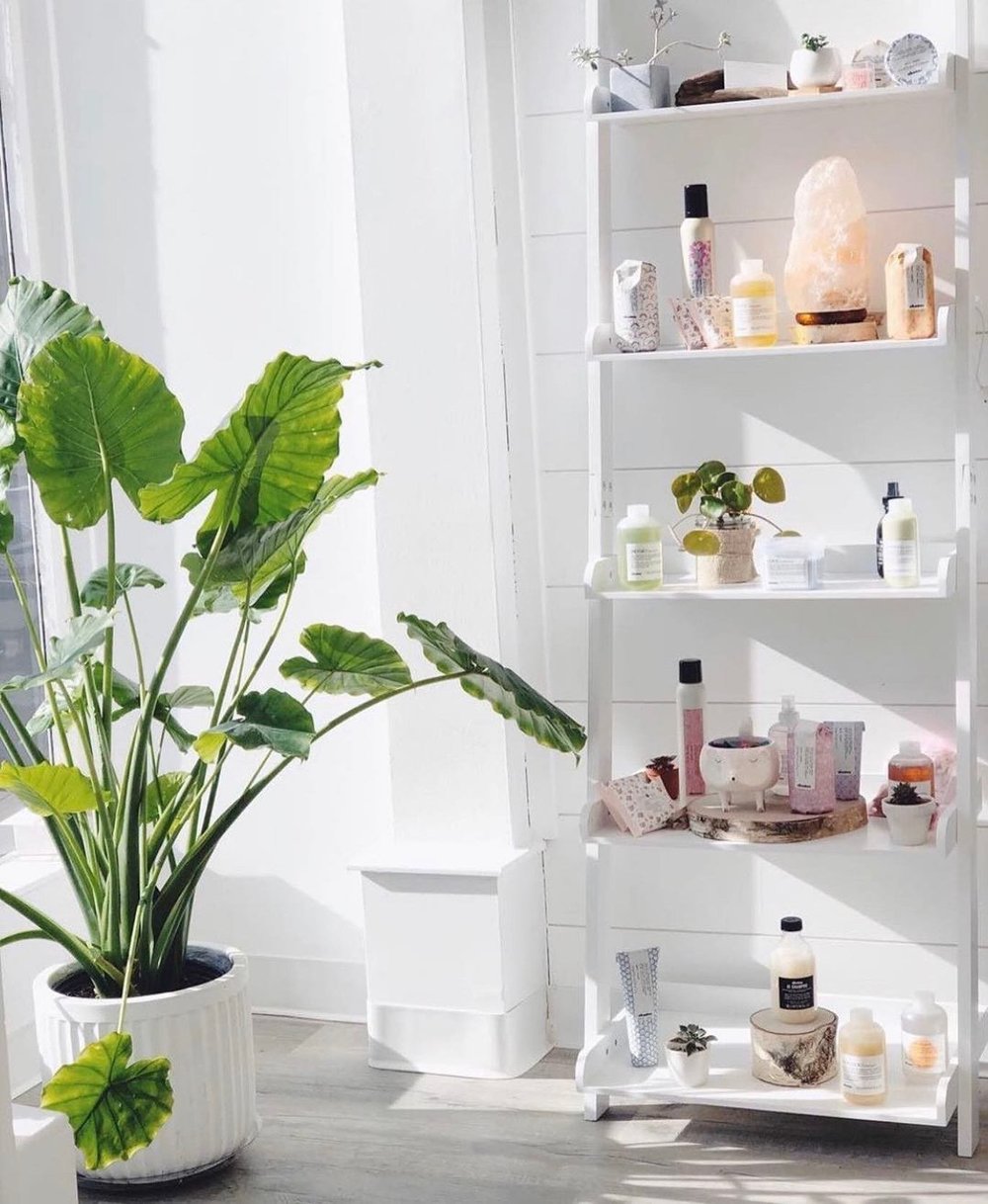 Special Effects Salon + Spa