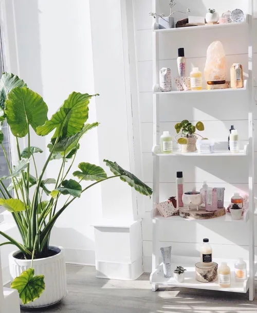 Special Effects Salon + Spa