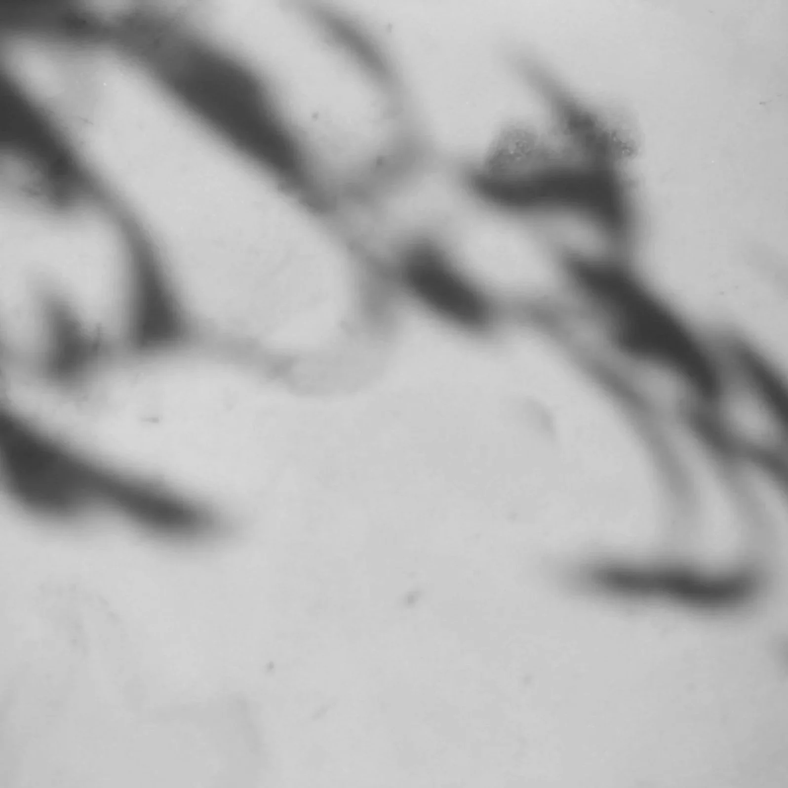 A grayscale abstract photo with blurry, diagonal shapes and smudges.