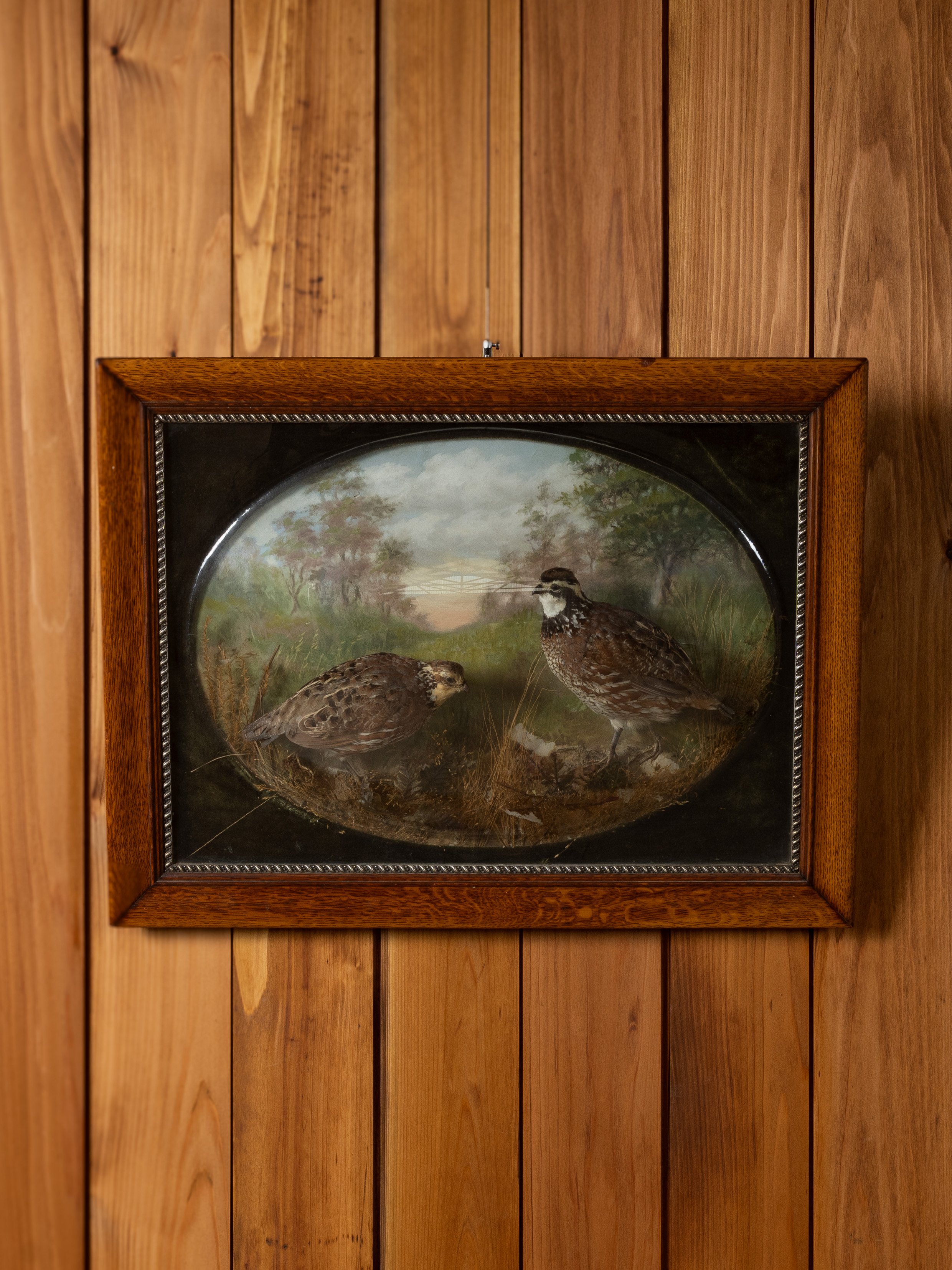BOBWHITE QUAIL BUBBLE GLASS DIORAMA BY SCHWARTZ