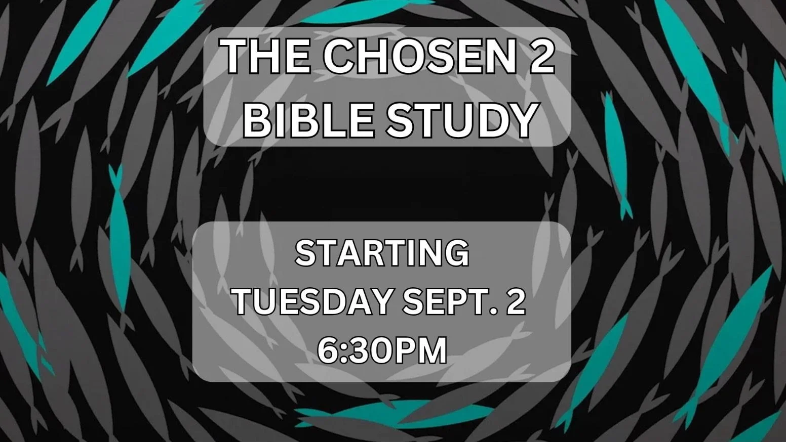 The Chosen 2 Bible Study