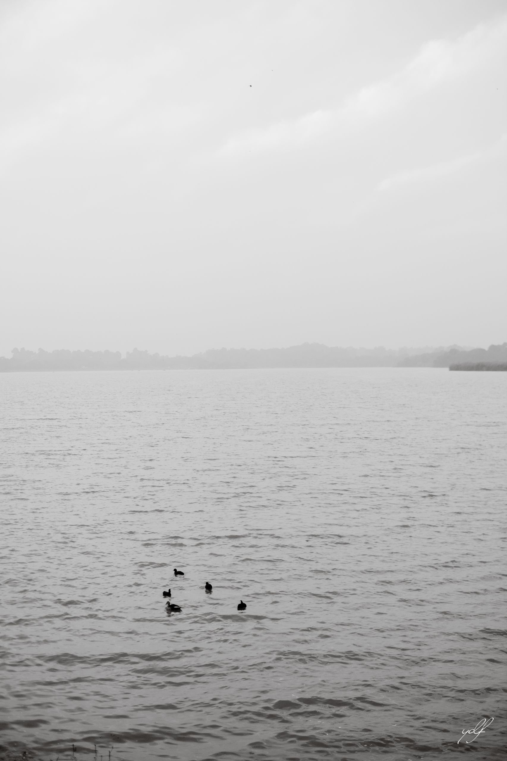 AS005960.jpg