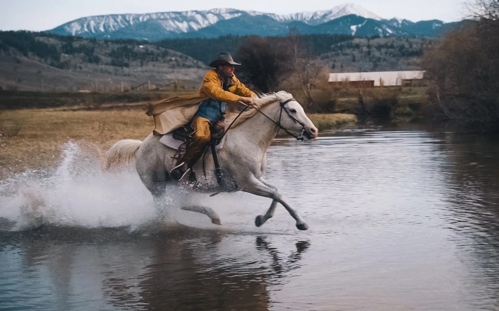 Electric Cowboy