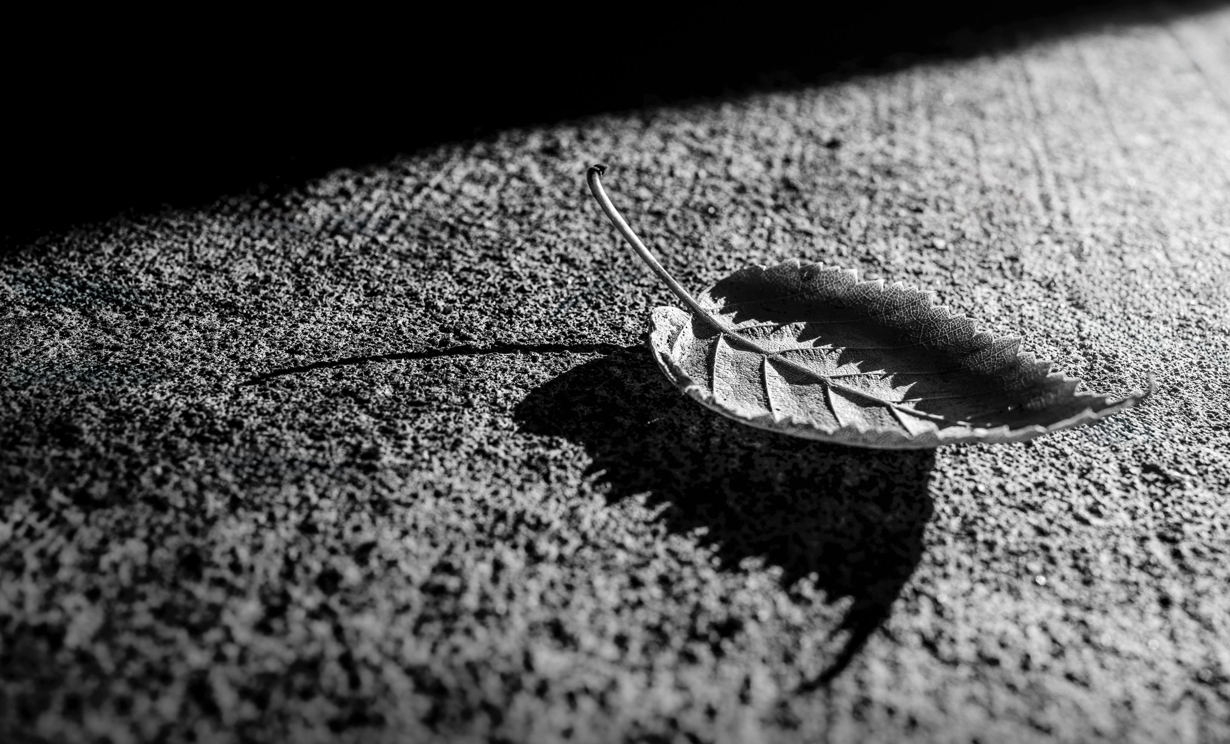 Between Tuesday and Wednesday