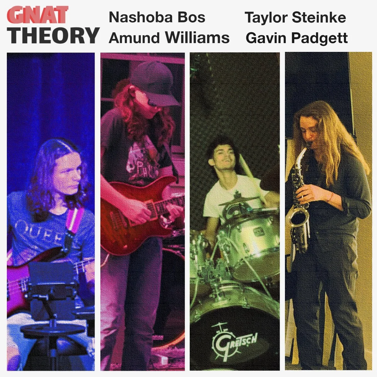 CBJ Presents: Gnat Theory