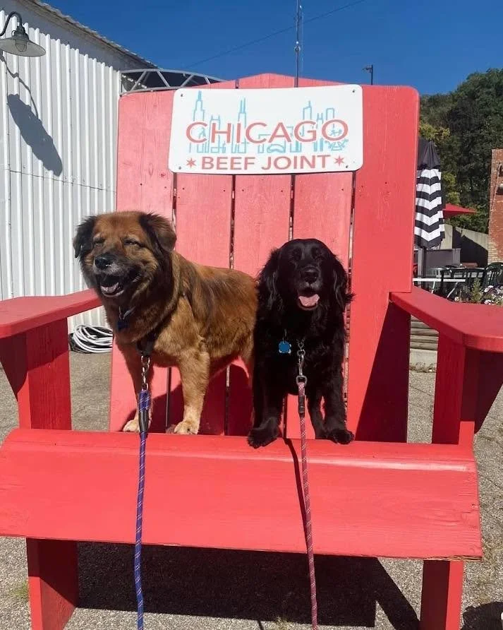 PSA&hellip; our patio is open and DOG-FRIENDLY! 🐾❤️