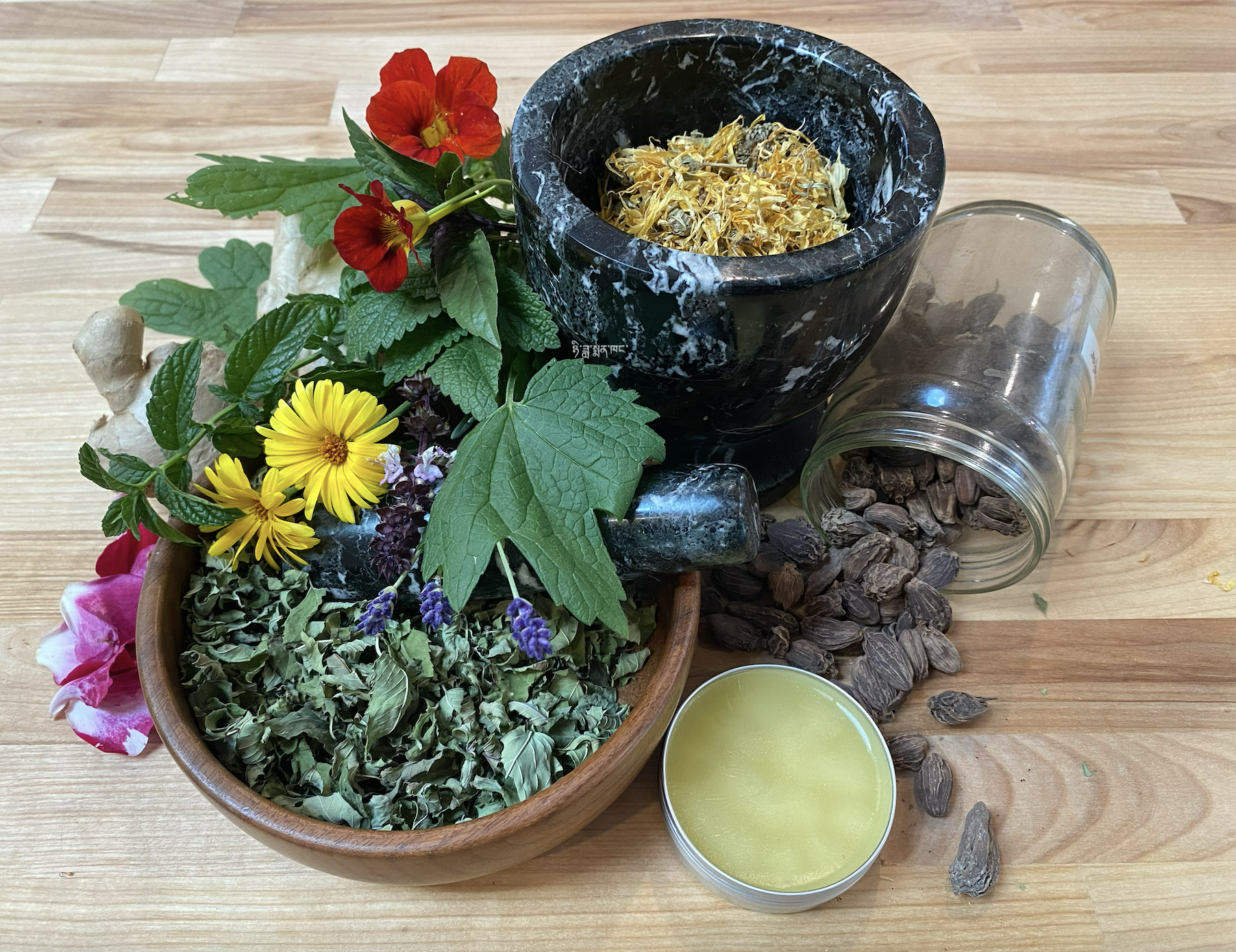 Kids Herbal Magic Day Off Camp - Balms for the Winter Ahead