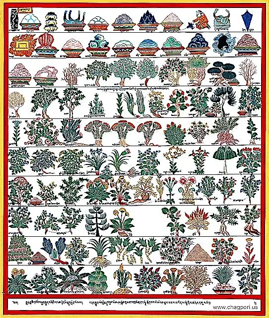 herb thanka CPUS.jpg