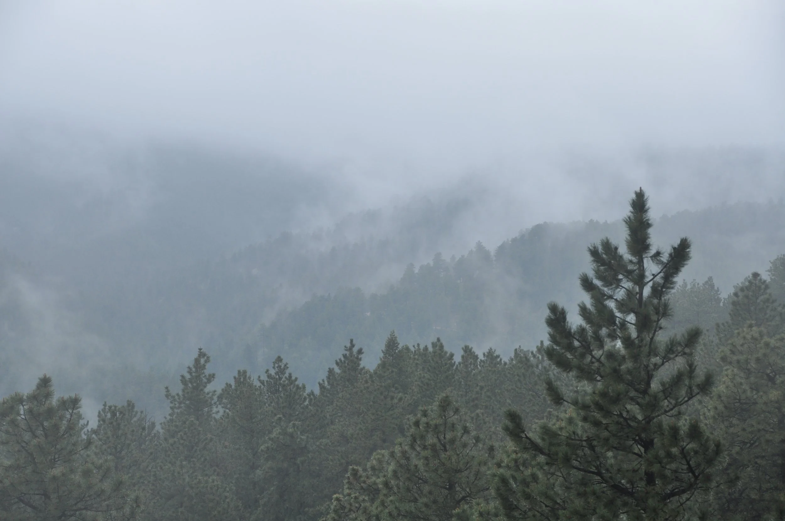 Well, how did I get here?