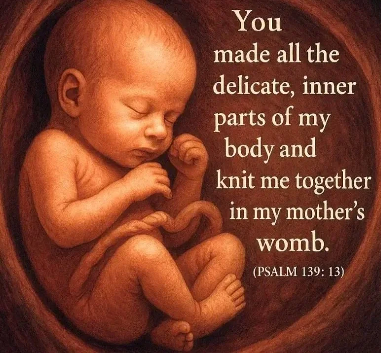 Fearfully and Wonderfully Made