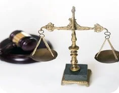 Citizenship and Immigration Services