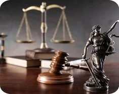 Citizenship And Immigration Services