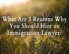 Reasons You Should Hire An Immigration Lawyer