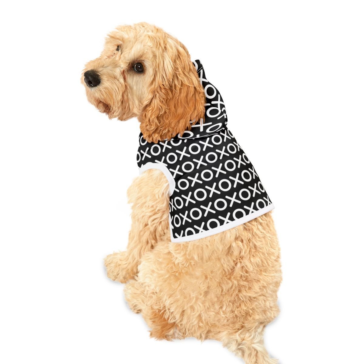 xoxo dog.jpeg