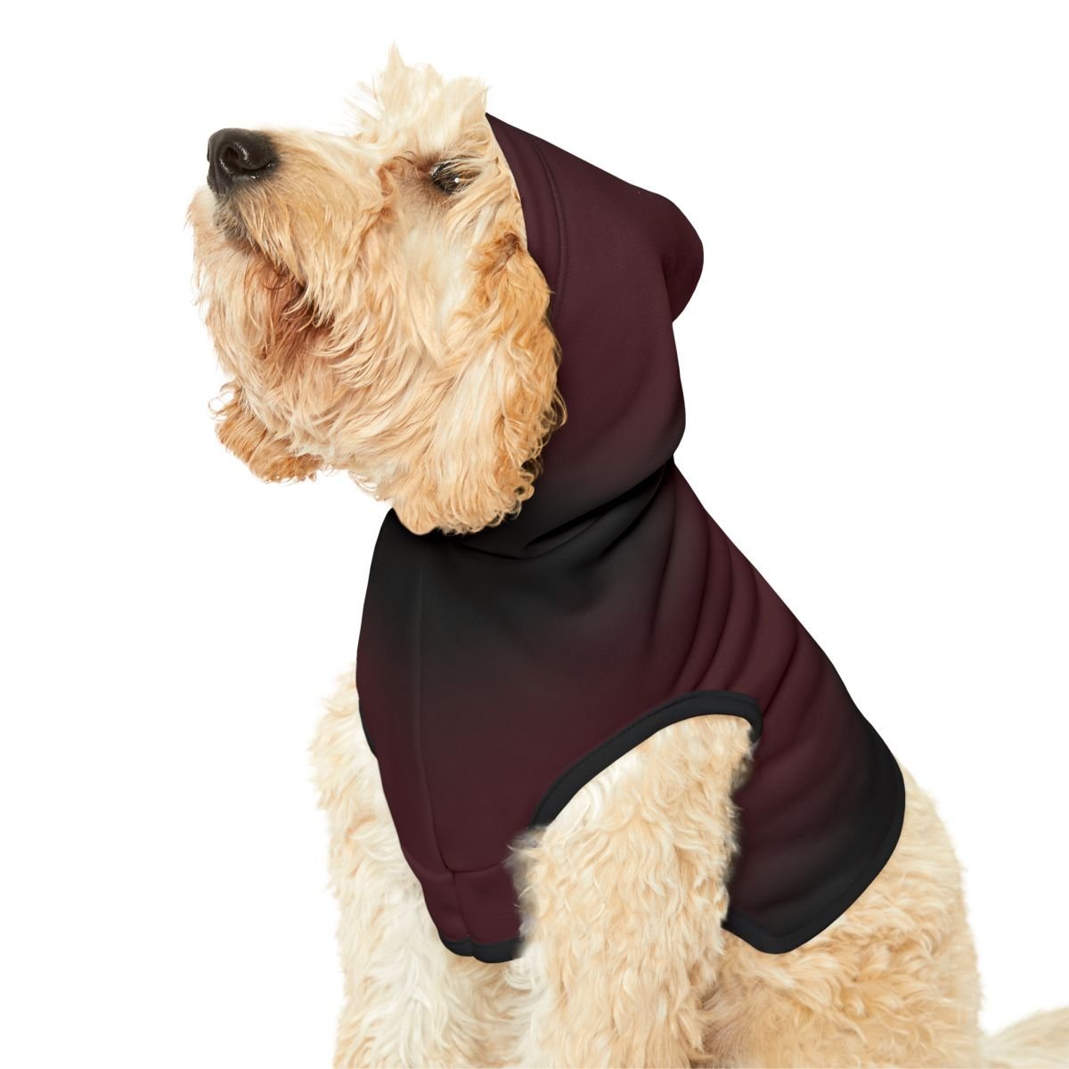 merlot dog.jpeg