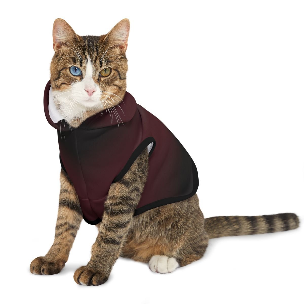 Merlot Cat.jpeg