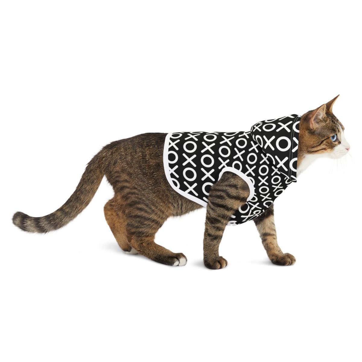 xoxo cat.jpeg