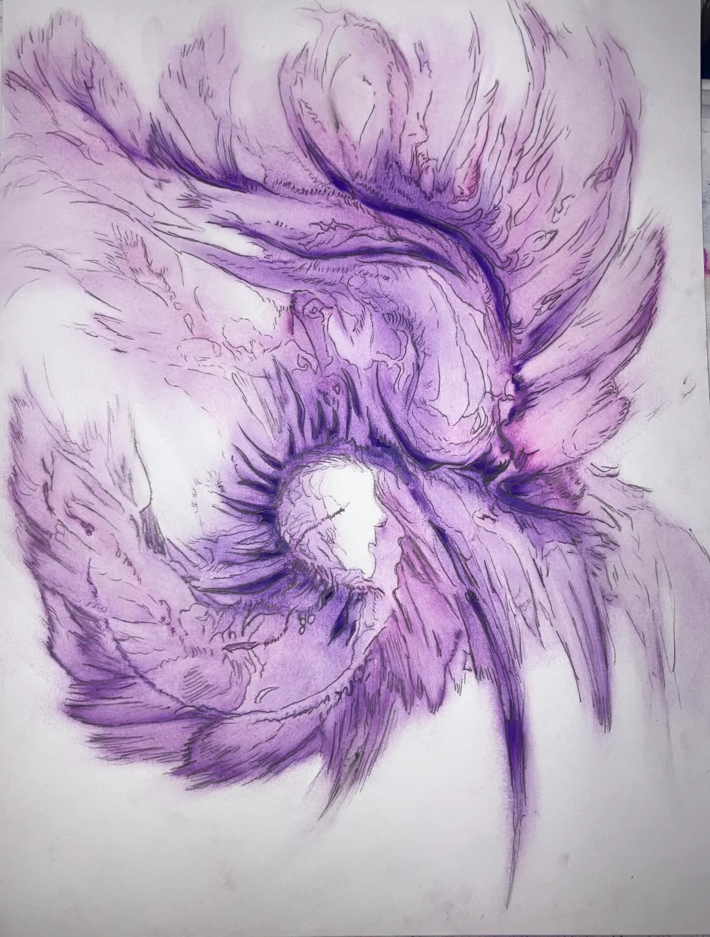 Enveloped Purple feathers
