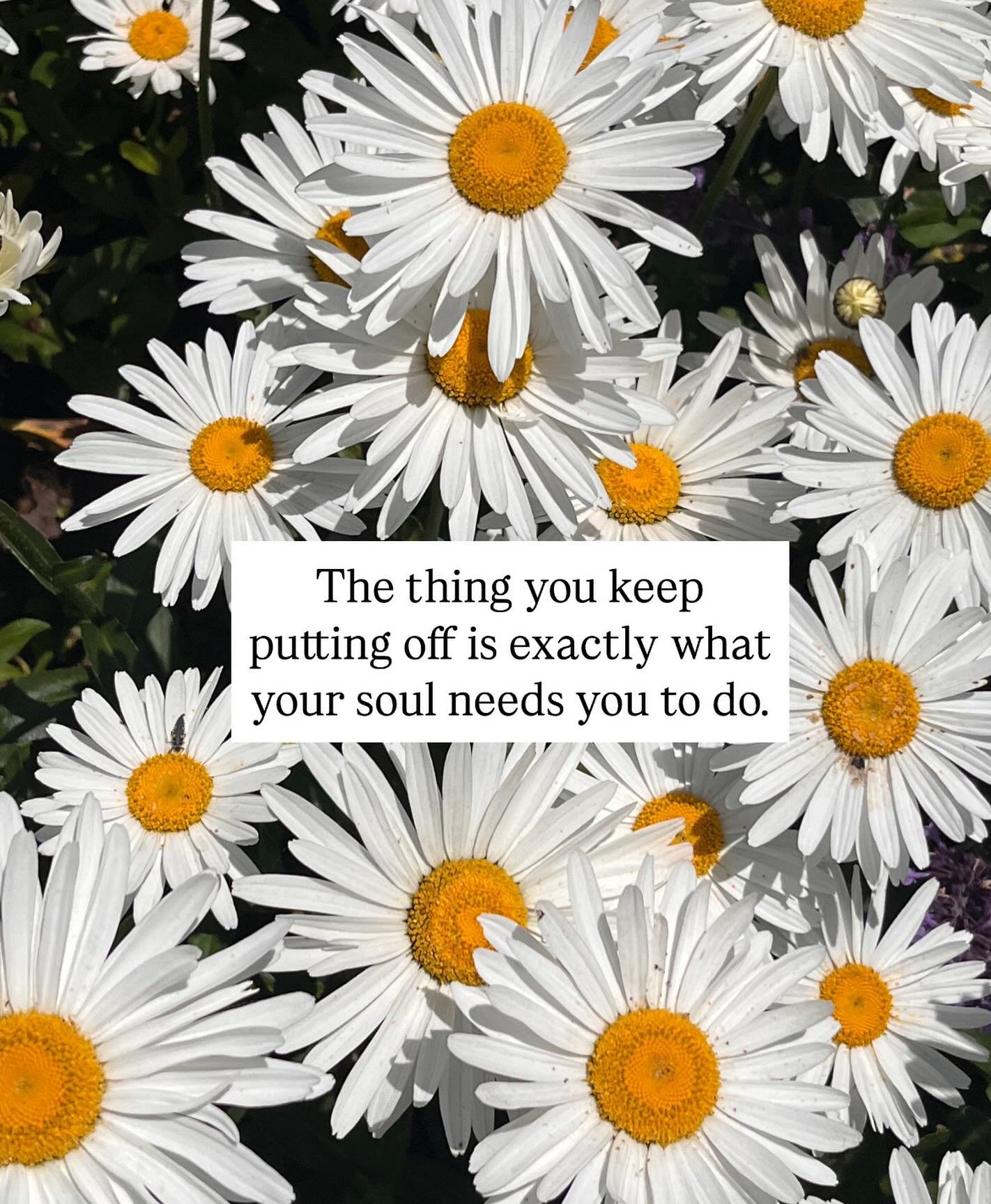 and I&rsquo;m not talking about the laundry. 

The trip you wont make time for, the earlier bed time, the date night, the day off, the garden you keep saying you will start&hellip; 

Your soul is constantly drawing you towards what you need. Let it l