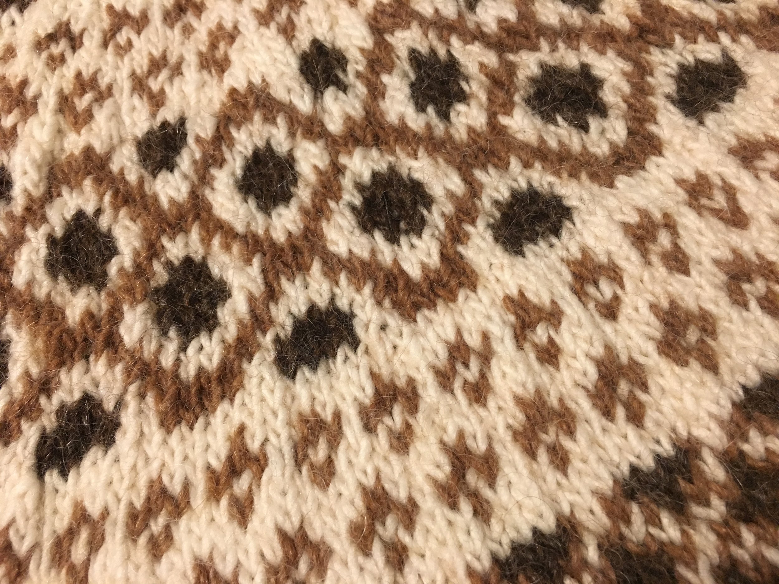 Photo Oct 27 2018, 9 57 33 AM.jpg