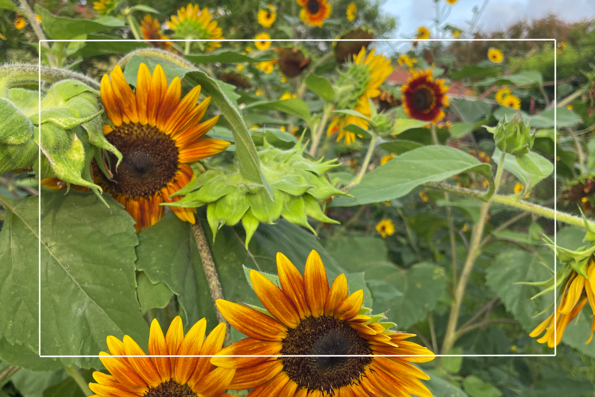 Connecting Our Summer Stories