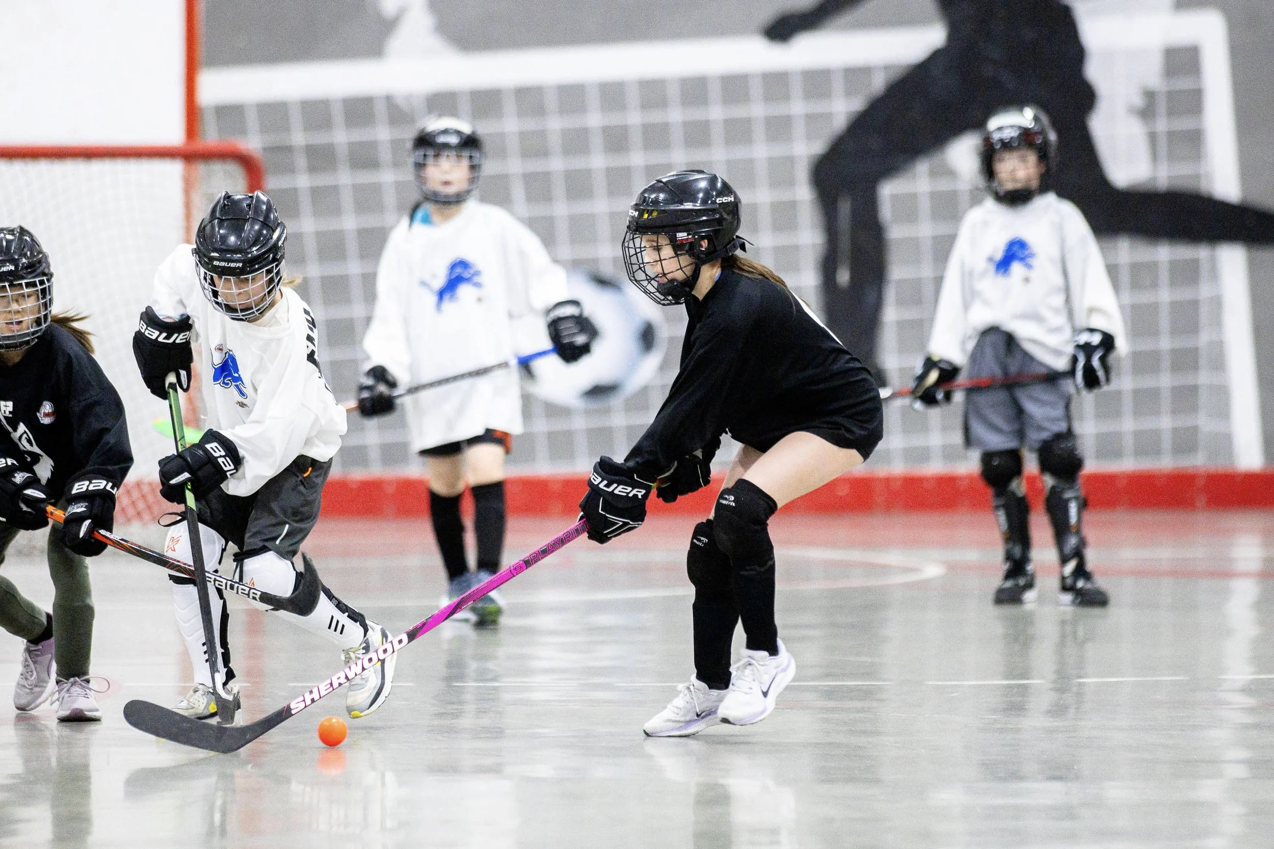 w-bh-u11-black-vs-lions_0679.jpg