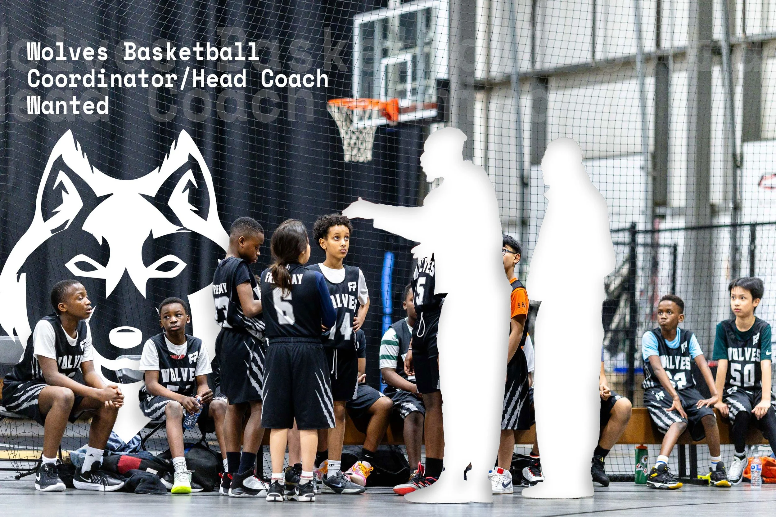 Basketball Coordinator / Head Coach - Wolves Athletic Club Edmonton