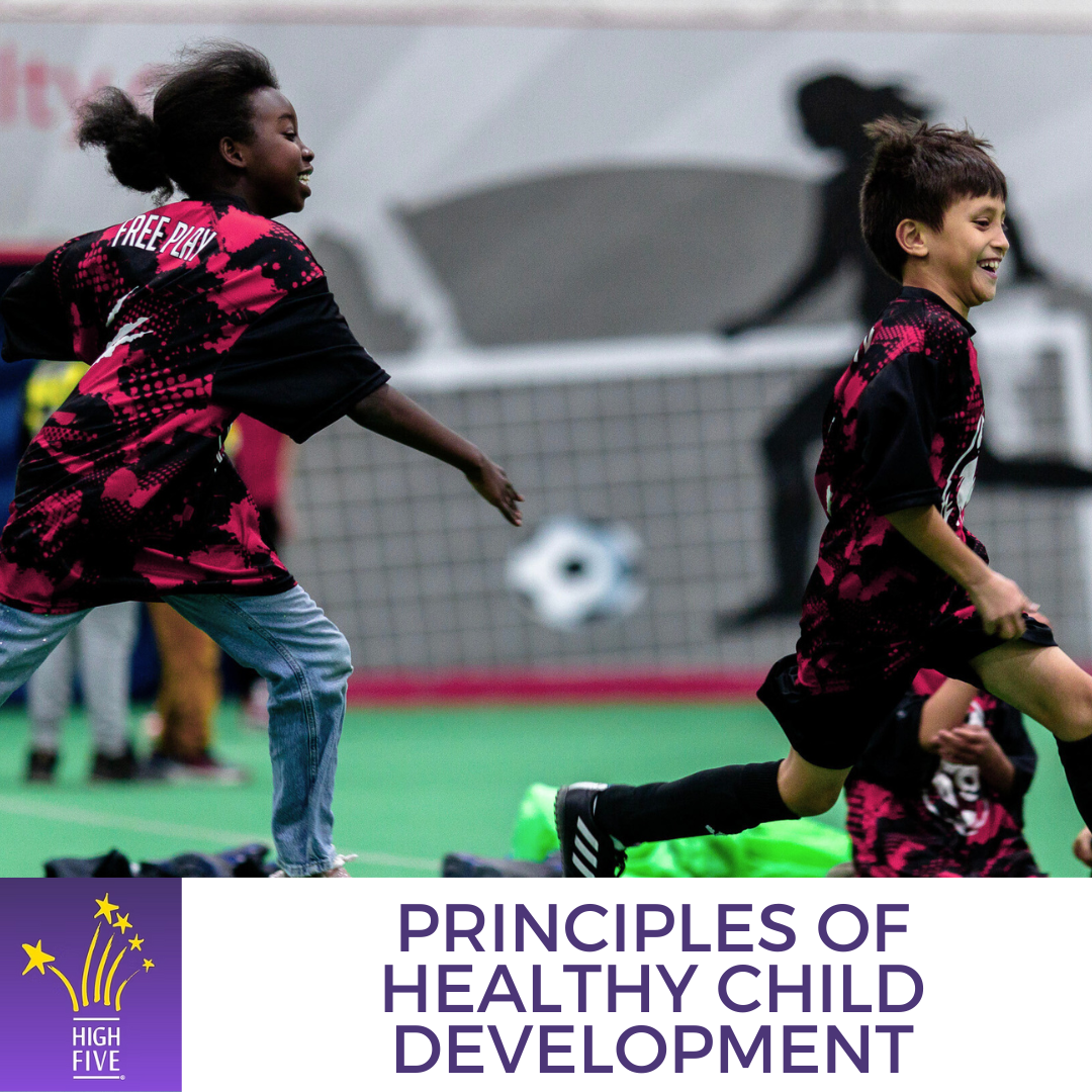 Principles of Healthy Child Development.png