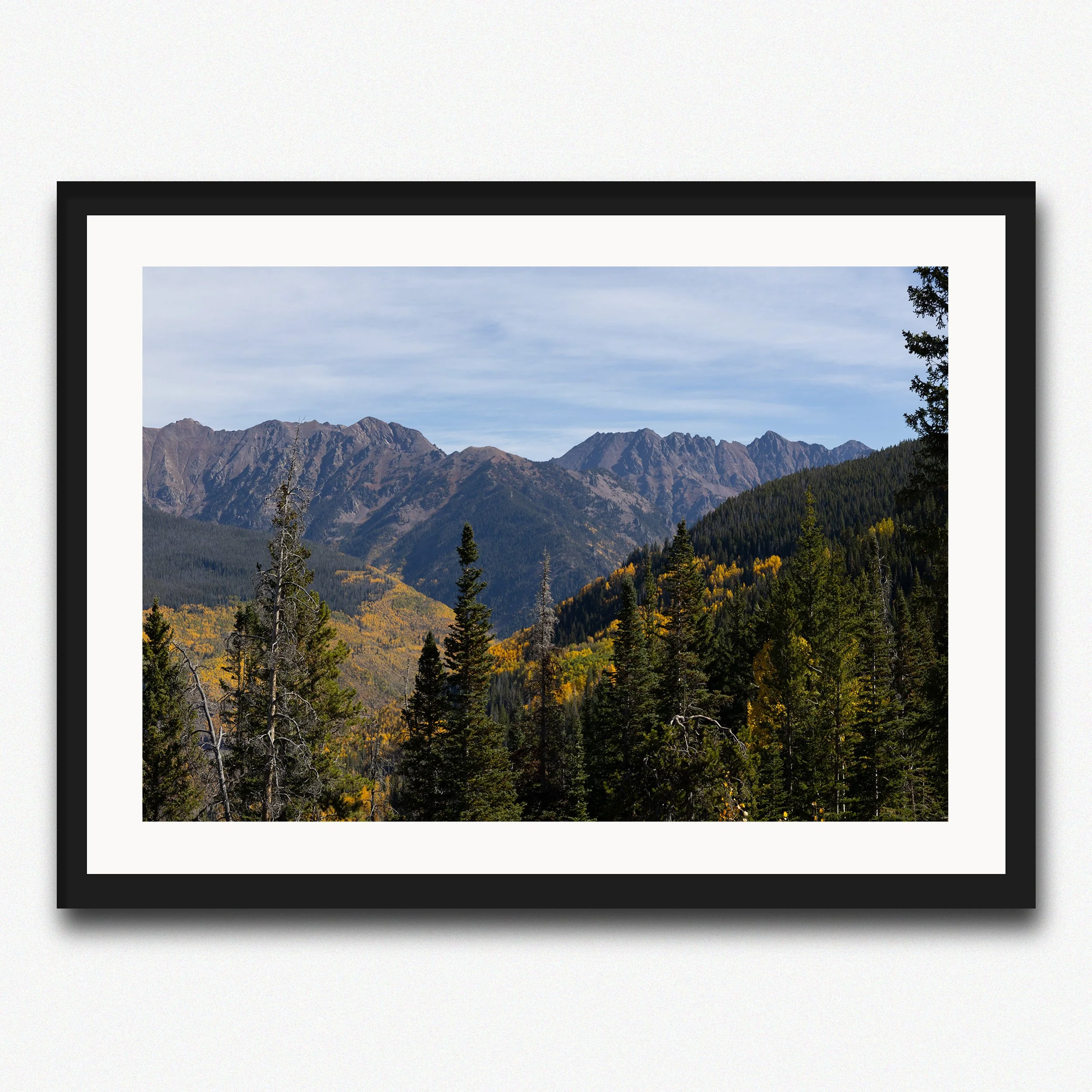 Autumn in Colorado