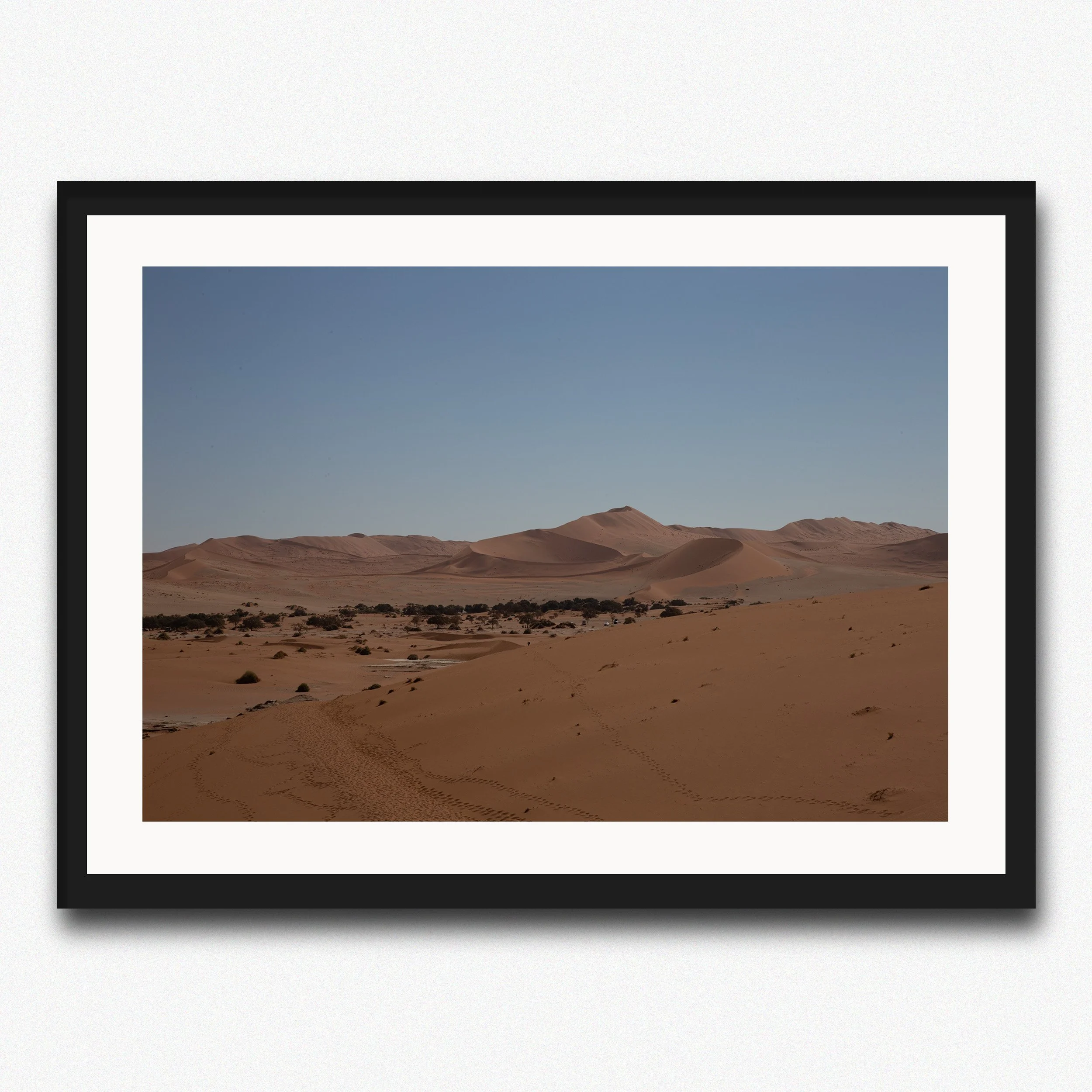 Rolling Sand Dunes