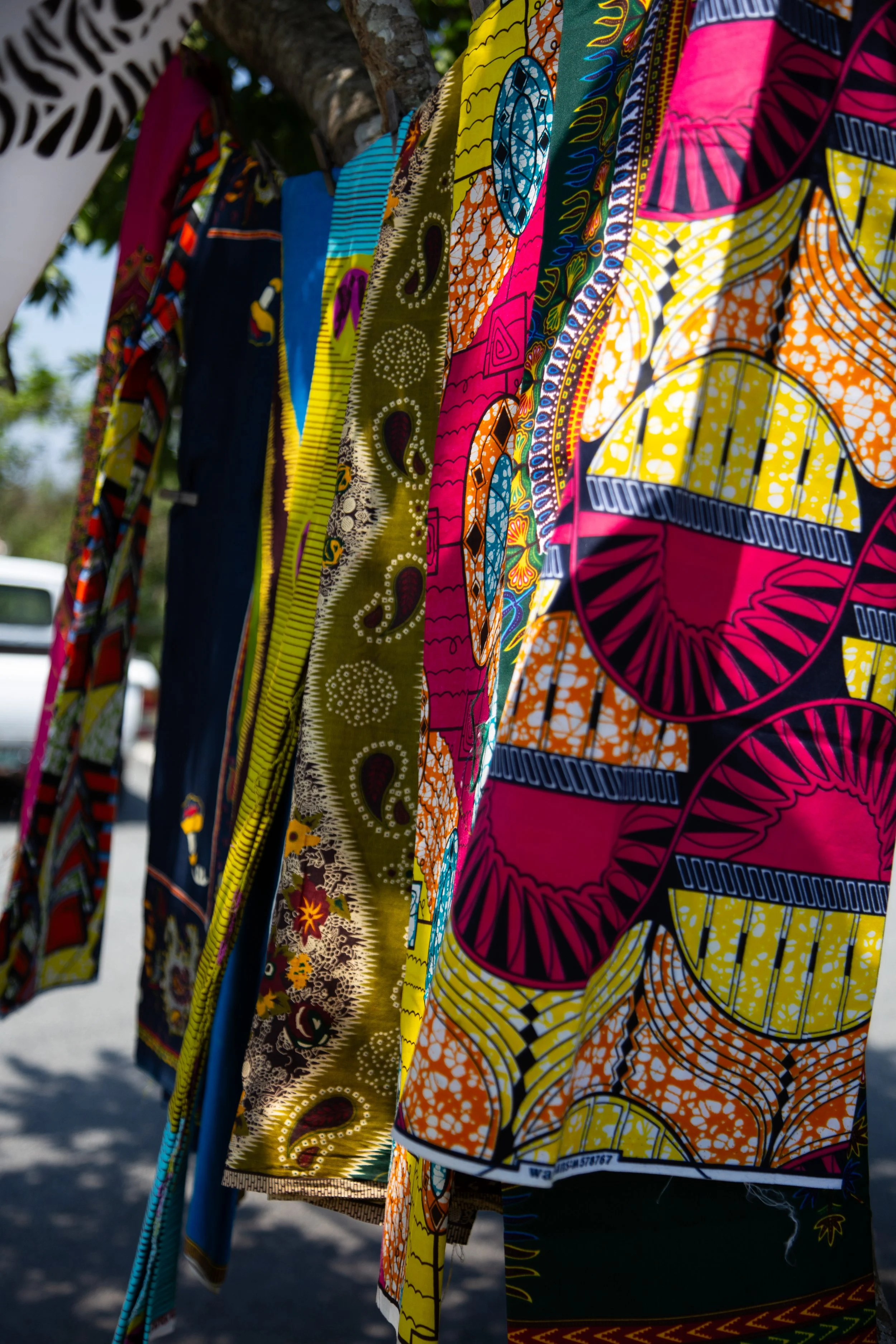 Cultural Dance Study, South Africa & Eswatini