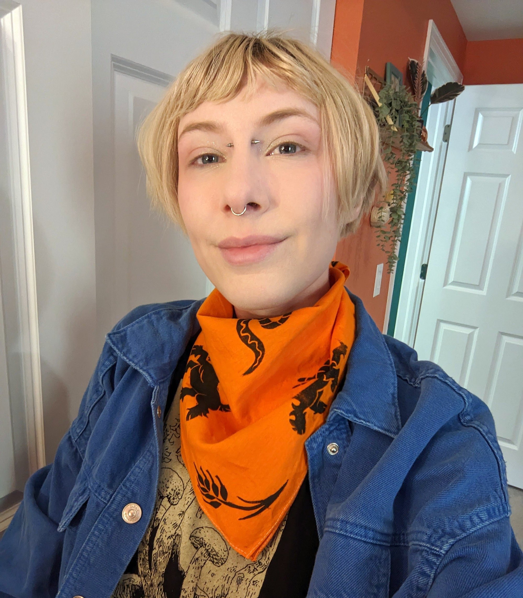 https://i.etsystatic.com/8324112/r/il/346ca7/4932392332/il_fullxfull.4932392332_71fg.jpg