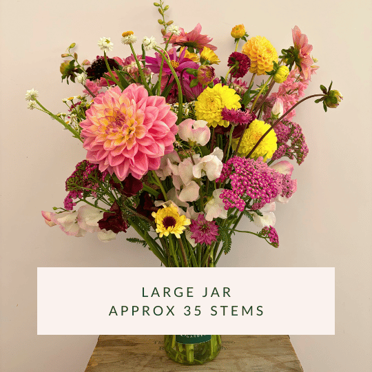 PYO flowers large jar.png