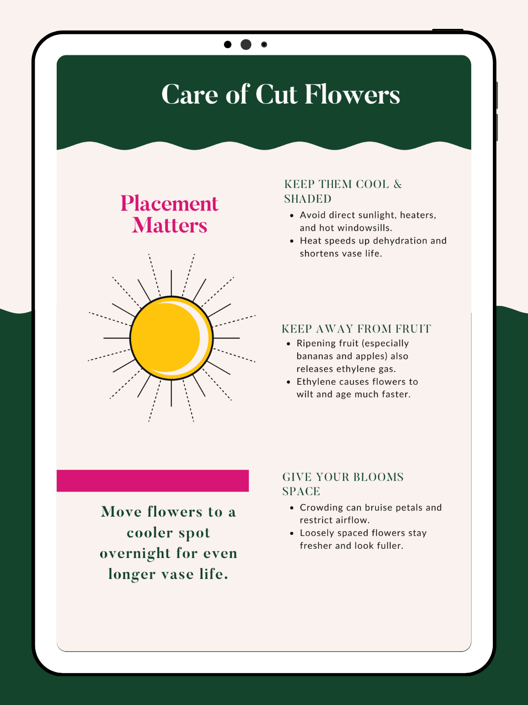 Care of Cut Flowers.png