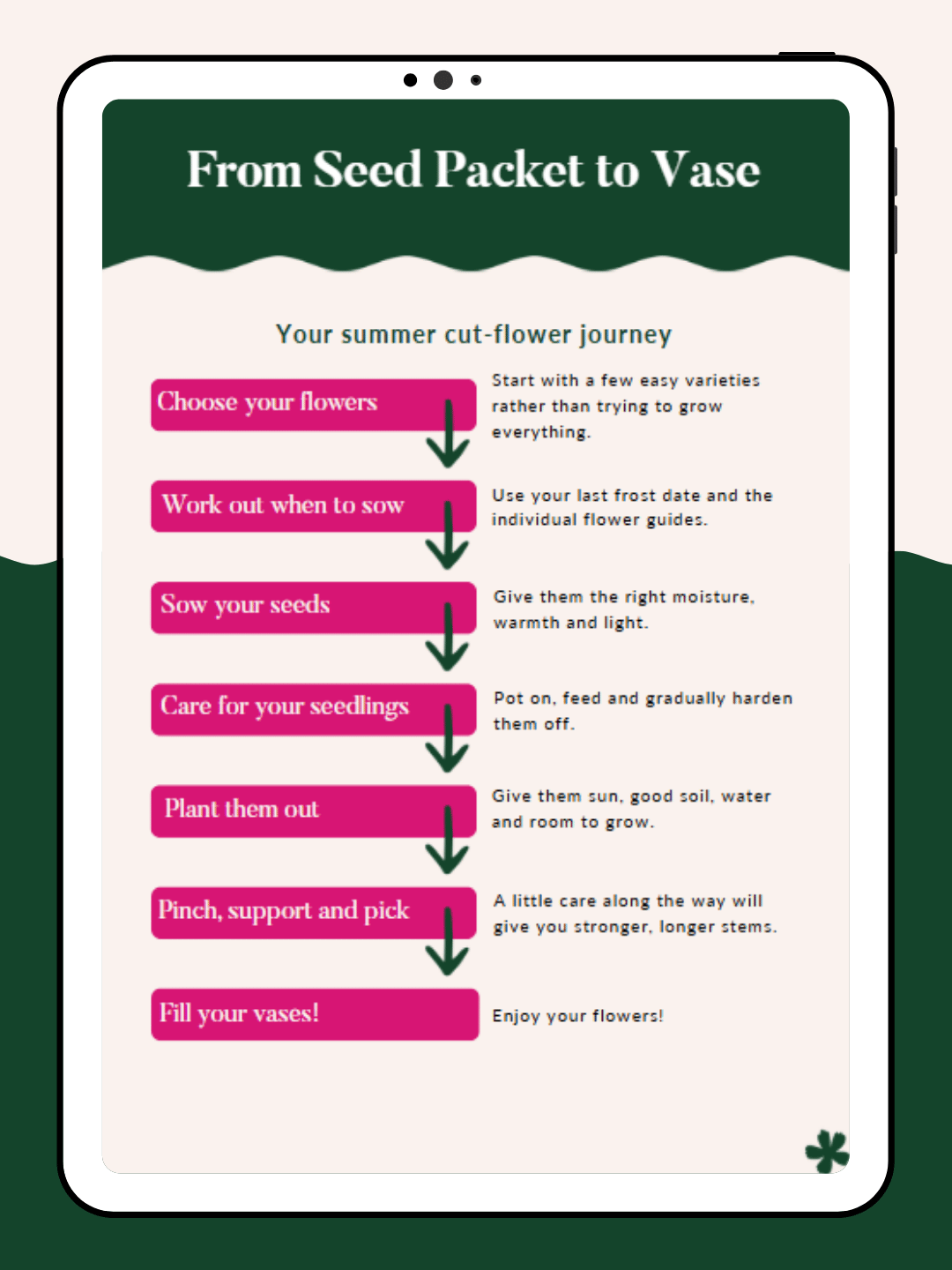 From Seed Packet to Vase.png