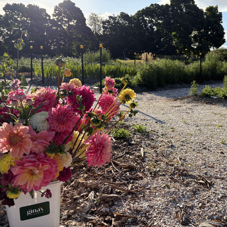Bucket of PYO flowers.png