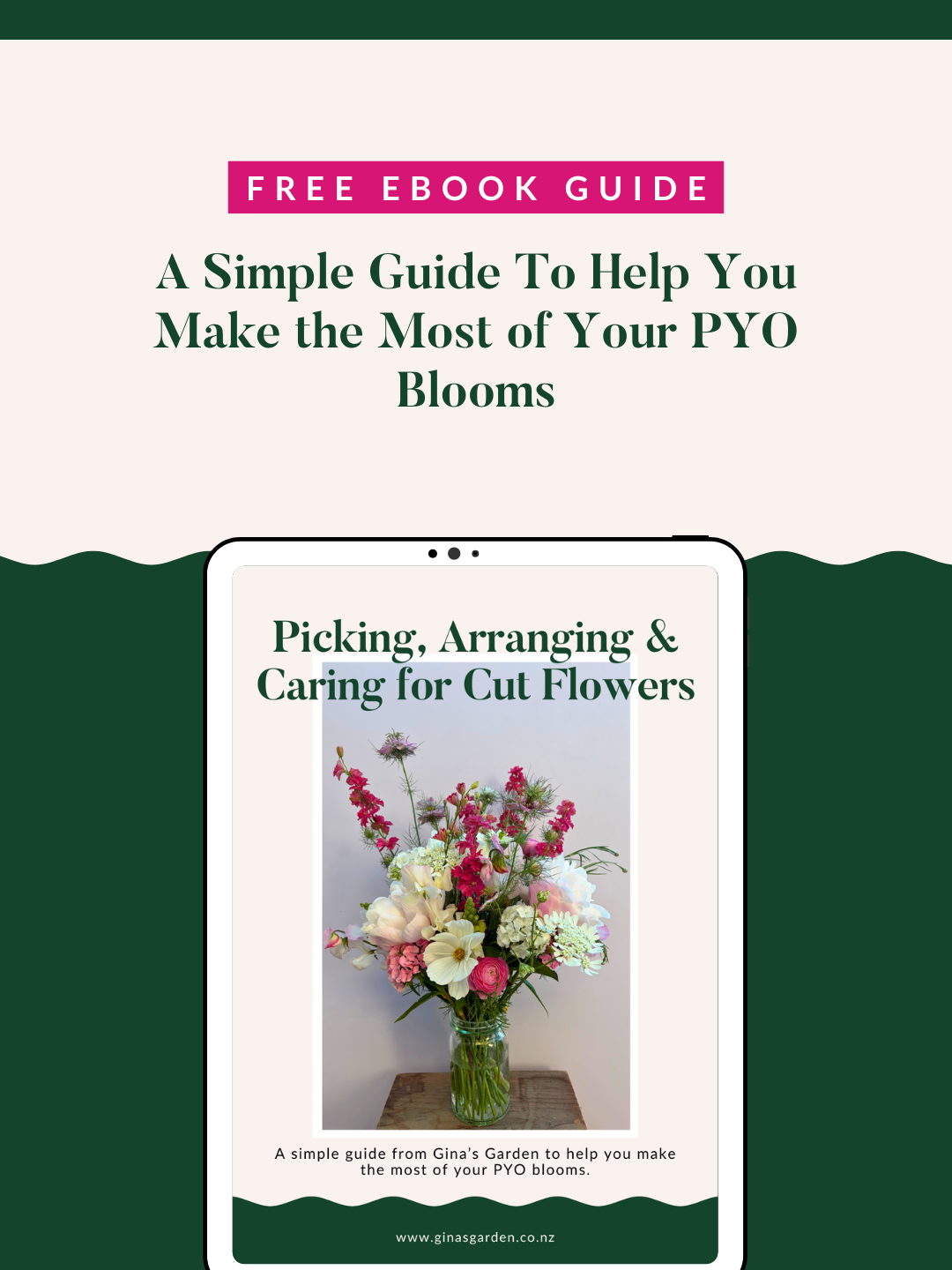 Free Flower Picking Guide | PYO Flowers Nelson | Gina’s Garden